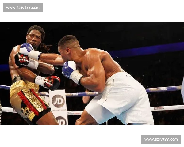 约书亚对决马丁视频解析力量速度与战术巅峰碰撞全纪录精彩回放