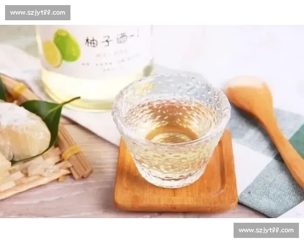 德国对阵智利赛前走势分析与胜负结果深度预测解读全面指南看点